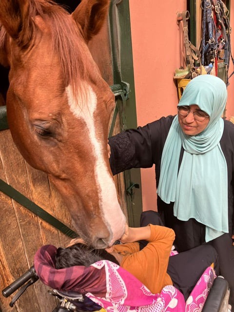 Horseback riding program